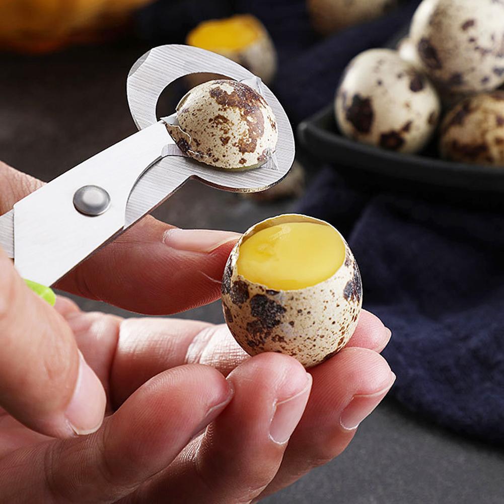 Pigeon Quail Open Crack Small  - Egg Separator Tool review and price